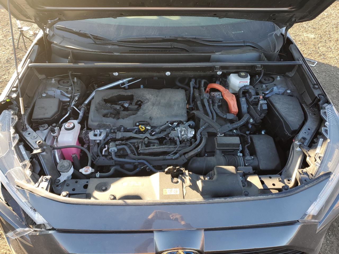 2022 TOYOTA RAV4 SE VIN:JTM16RFV3ND529565