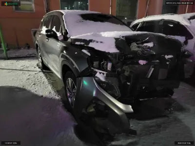 2019 Hyundai Santa FE KMHS281BBKU024186 VIN:KMHS281BBKU024186