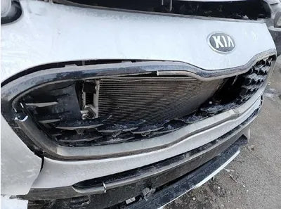 2019 Kia Sportage KNAPN813BKK659731 VIN:KNAPN813BKK659731