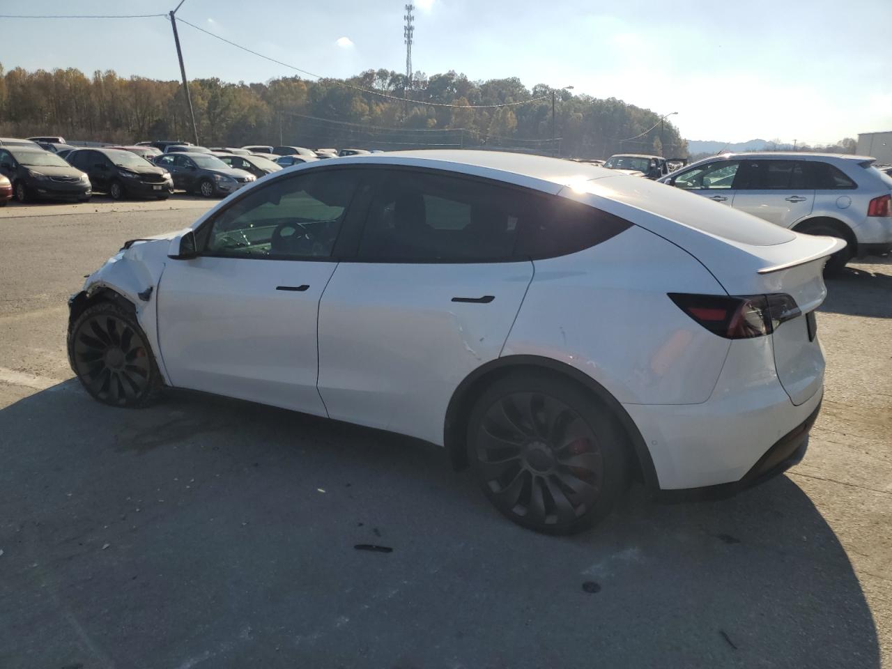 2022 TESLA MODEL Y  VIN:7SAYGDEF5NF313270