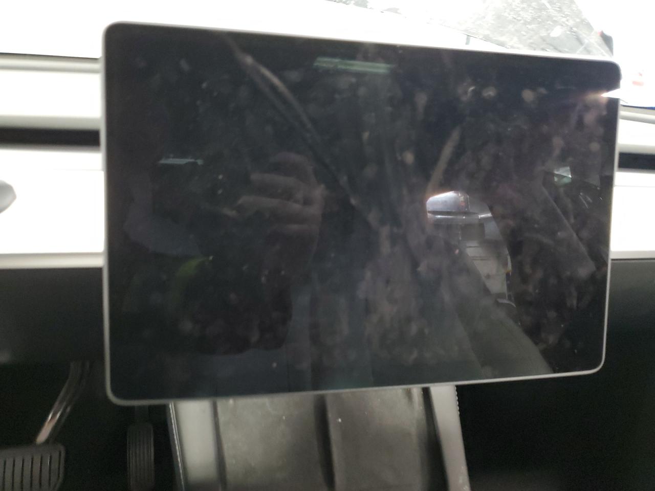 2024 TESLA MODEL Y  VIN:7SAYGDEE4RF081502