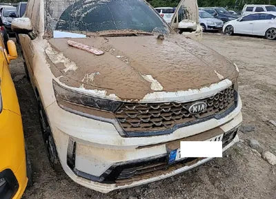 2021 Kia Sorento KNARK81BGMA026012 VIN:KNARK81BGMA026012