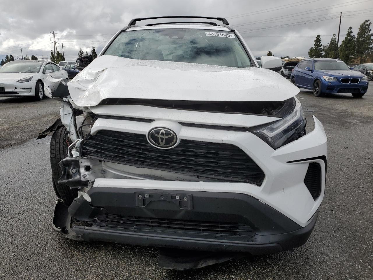 2023 TOYOTA RAV4 XLE VIN:2T3W1RFVXPC220879