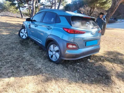 2020 Hyundai Kona KMHK381GFLU087276 VIN:KMHK381GFLU087276