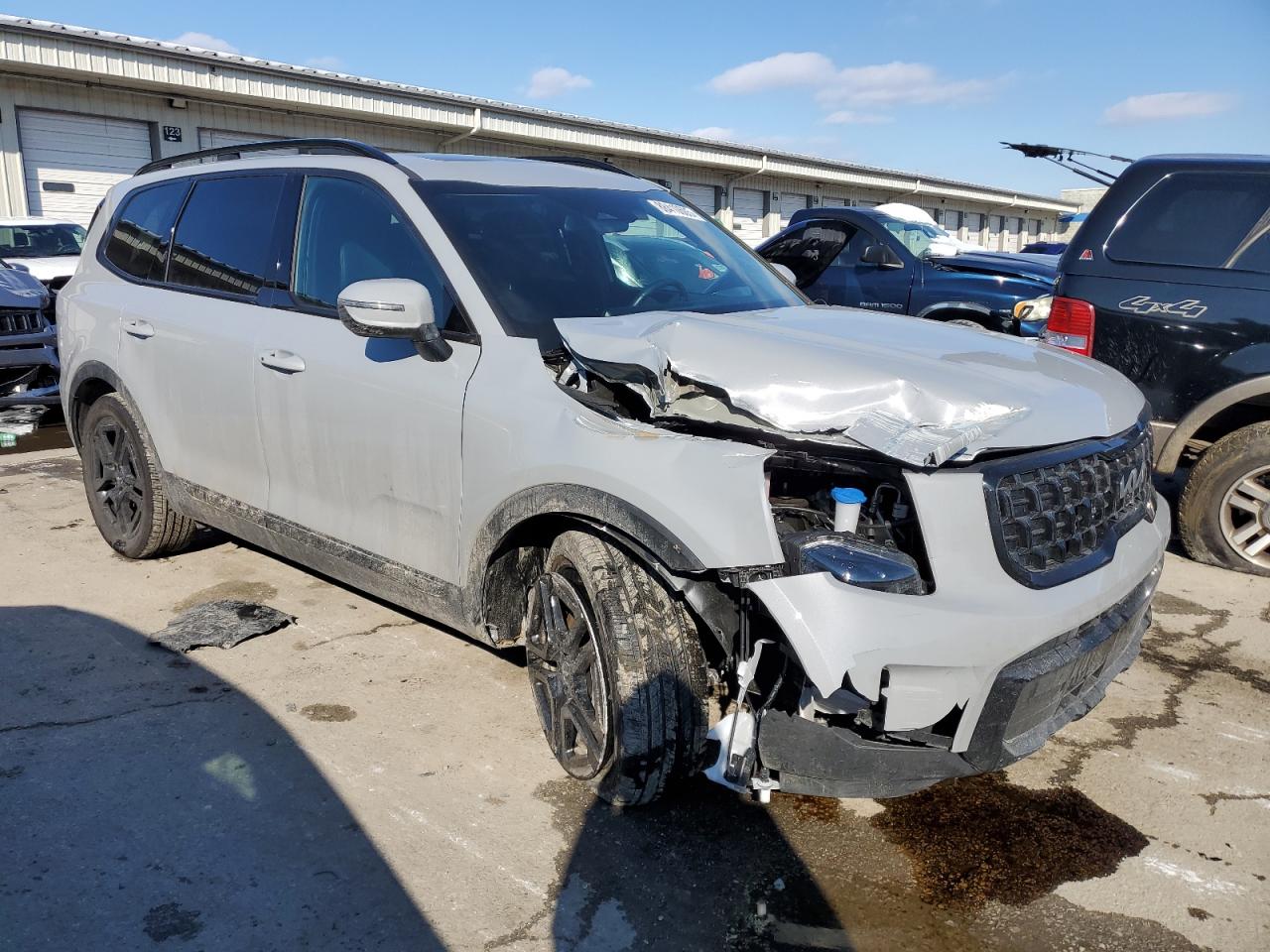 2024 KIA TELLURIDE EX VIN:5XYP3DGC4RG542755