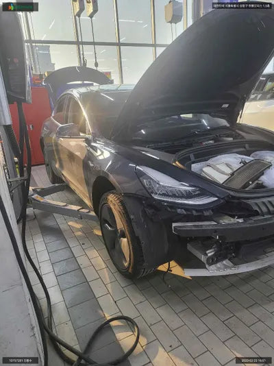 2019 Tesla Model 3 5YJ3E1EB3LF585564 VIN:5YJ3E1EB3LF585564
