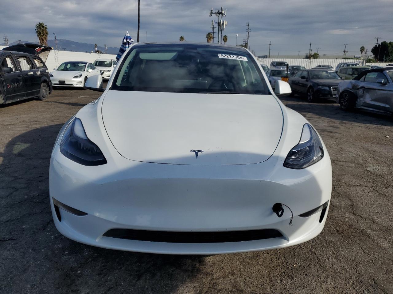 2023 TESLA MODEL Y  VIN:7SAYGDEE2PF834070