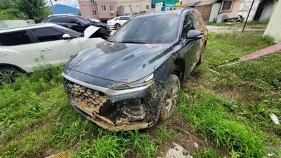 2019 Hyundai Santa FE 074KMKMHS281CBKU0 VIN:074KMKMHS281CBKU0