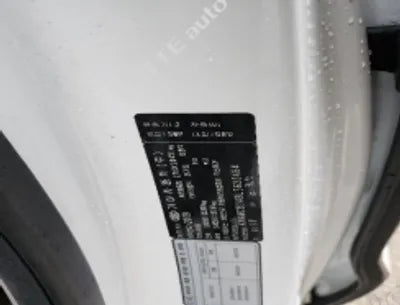 2020 Kia Carnival KNAMC81ABLS633464 VIN:KNAMC81ABLS633464