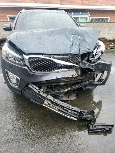 2015 Kia Sorento KNAPS81ABFA087399 VIN:KNAPS81ABFA087399