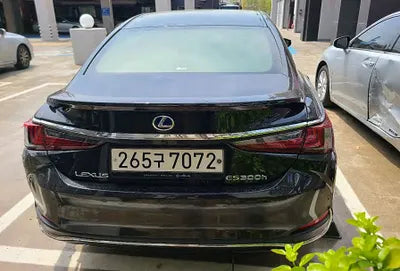 2021 Lexus ES 300 JTHBA1C15M2004442 VIN:JTHBA1C15M2004442