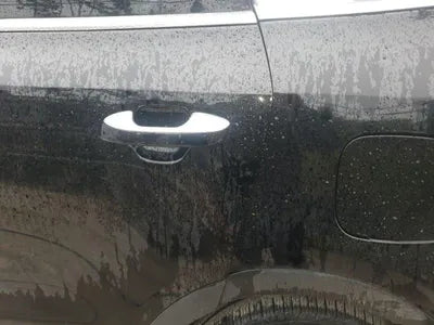 2021 Kia Sorento KNARH81BGMA076817 VIN:KNARH81BGMA076817