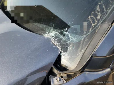 2022 Toyota RAV4 VIN: