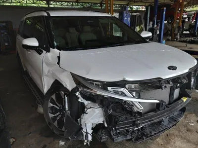 2021 Kia Carnival KNANB81BBMS104521 VIN:KNANB81BBMS104521