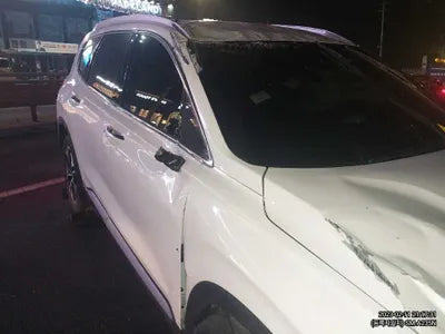 2019 Hyundai Santa FE KMHS381CBKU120465 VIN:KMHS381CBKU120465