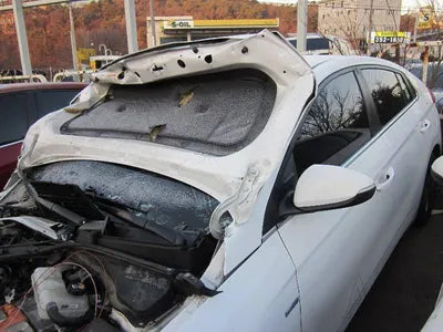 2019 Hyundai Ioniq KMHC851CGLU172972 VIN:KMHC851CGLU172972