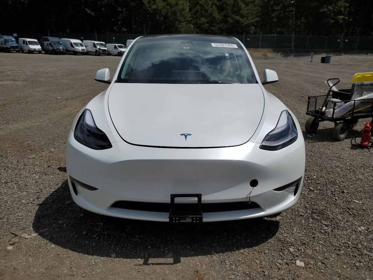 2023 TESLA MODEL Y  VIN:7SAYGDEE0PF676070