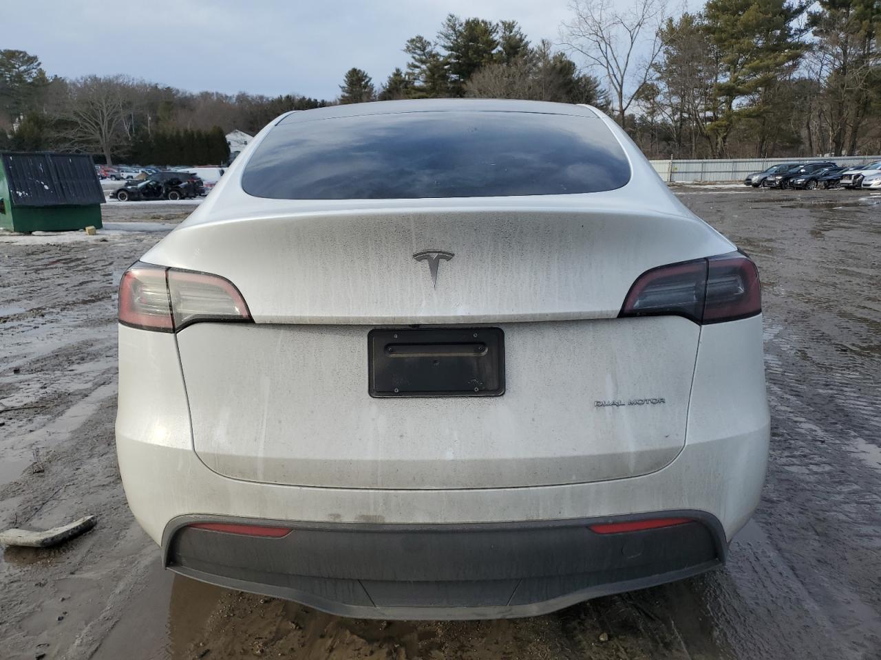 2023 TESLA MODEL Y  VIN:7SAYGDEE0PA116790