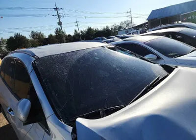 2020 Kia Sorento KNAPG81BBLA610348 VIN:KNAPG81BBLA610348