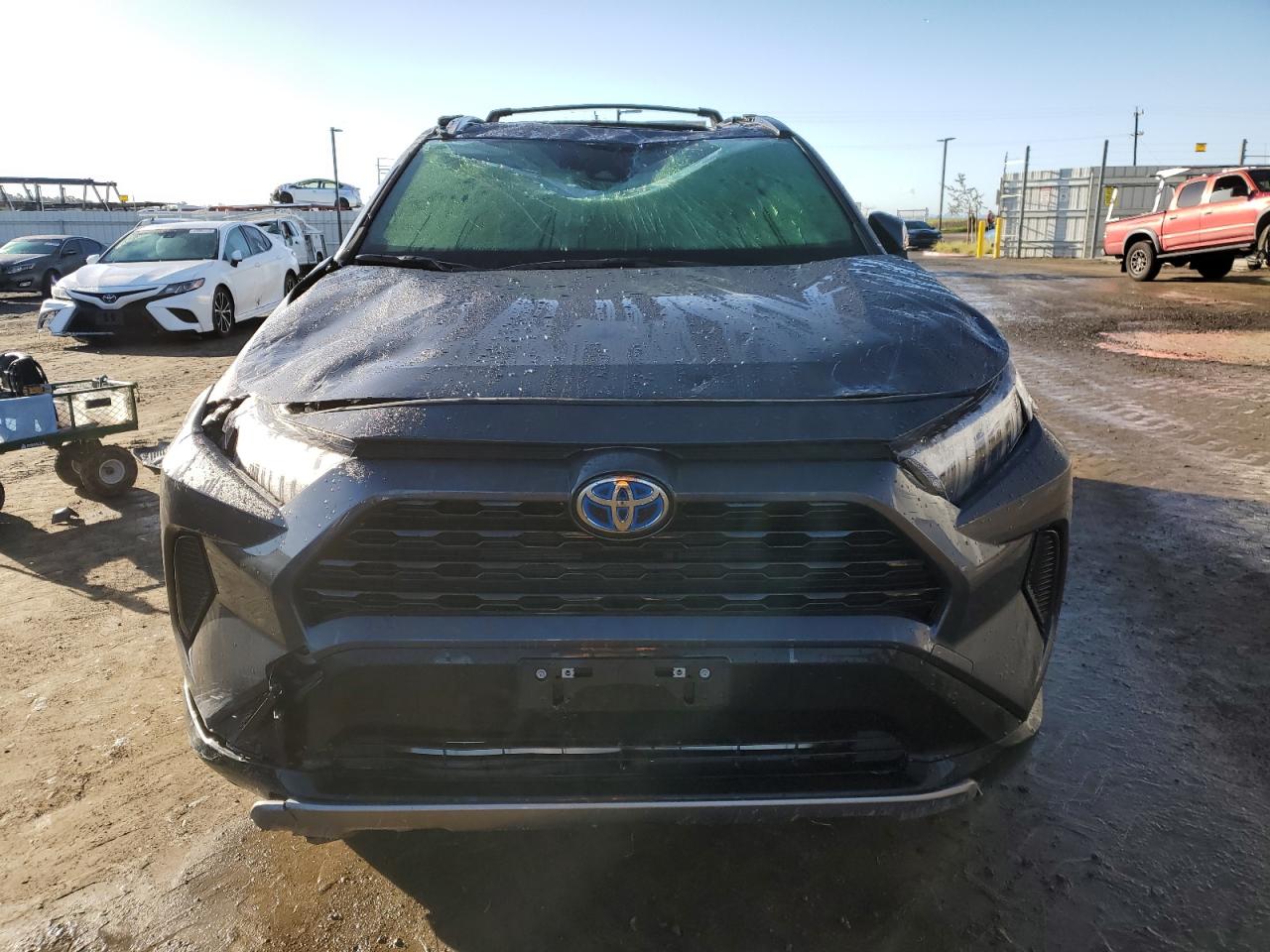 2024 TOYOTA RAV4 SE VIN:JTM16RFV2RJ061299