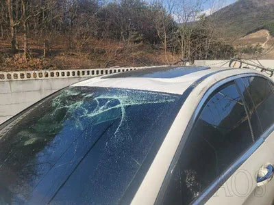 2019 Mercedes-Benz E 220 WDDZF0FB8KA533585 VIN:WDDZF0FB8KA533585