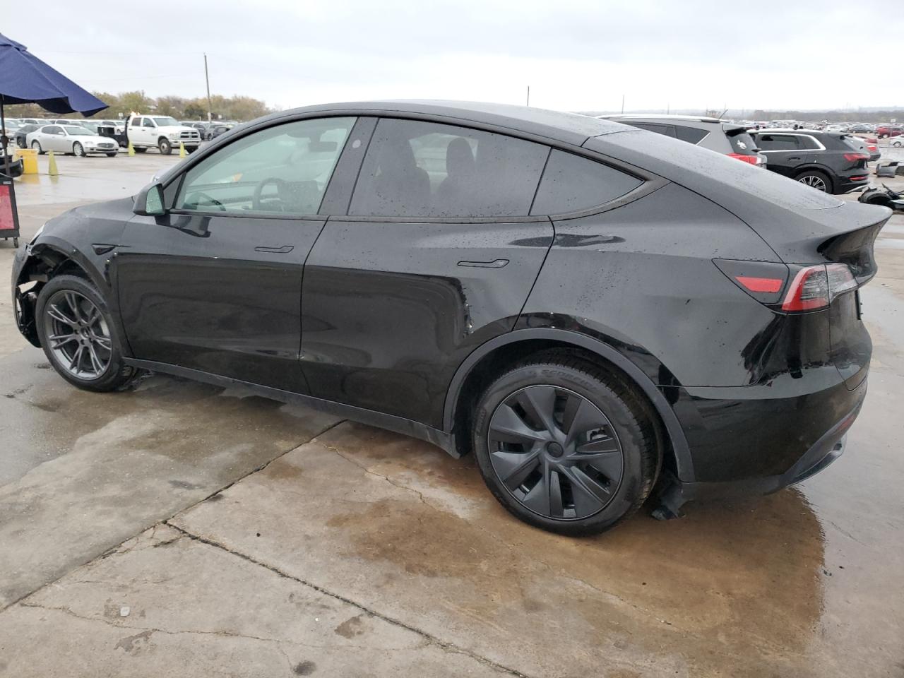 2024 TESLA MODEL Y  VIN:7SAYGDED0RA316532