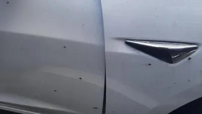 2020 Tesla Model 3 5YJ3E1EB7LF727091 VIN:5YJ3E1EB7LF727091