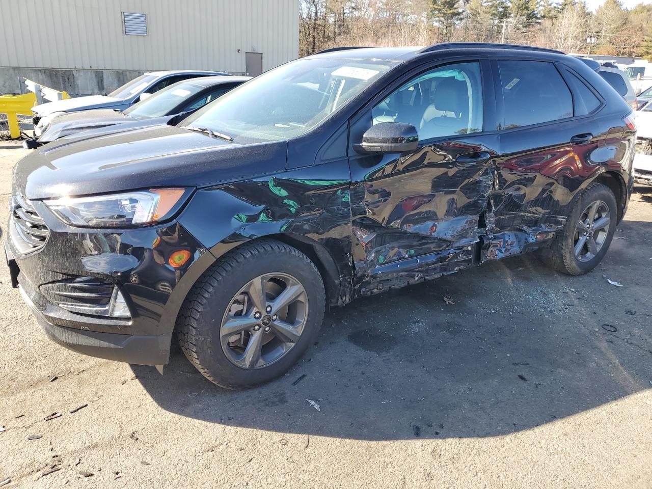 2024 FORD EDGE SEL VIN:2FMPK4J99RBA10109