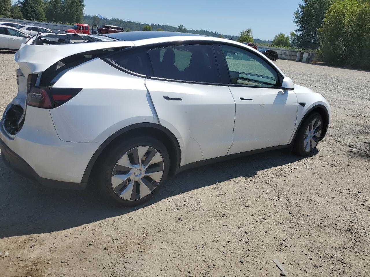 2023 TESLA MODEL Y  VIN:7SAYGDEE8PF764543