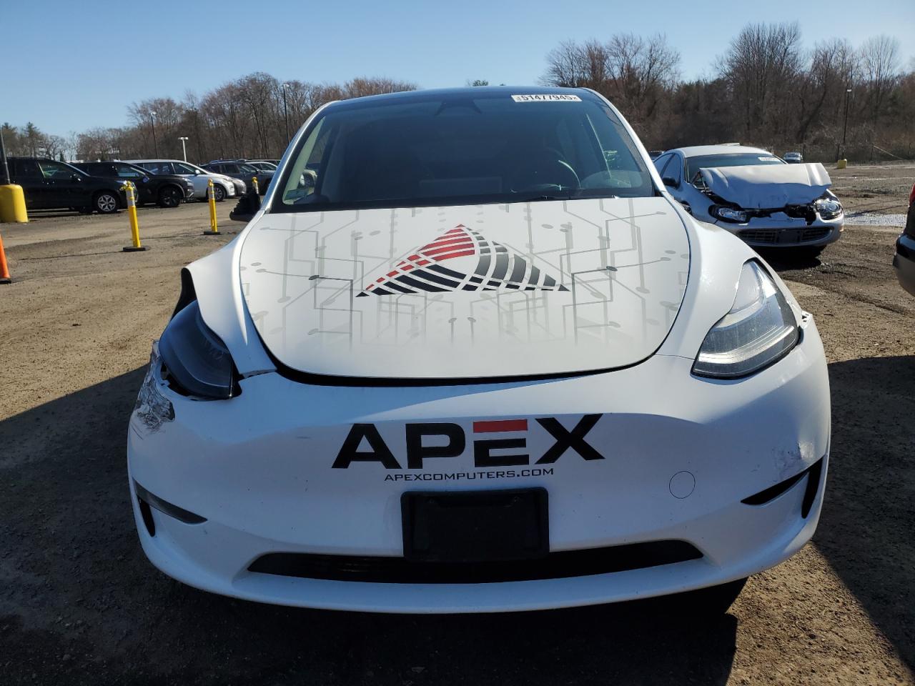 2023 TESLA MODEL Y  VIN:7SAYGDEEXPF805061