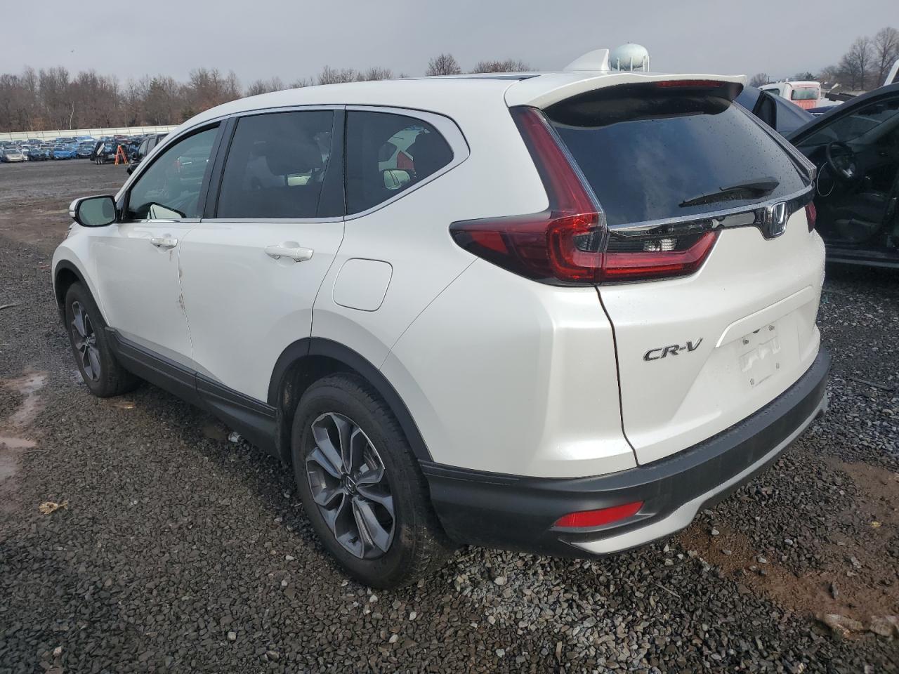 2022 HONDA CR-V EXL VIN:5J6RW2H80NL005081