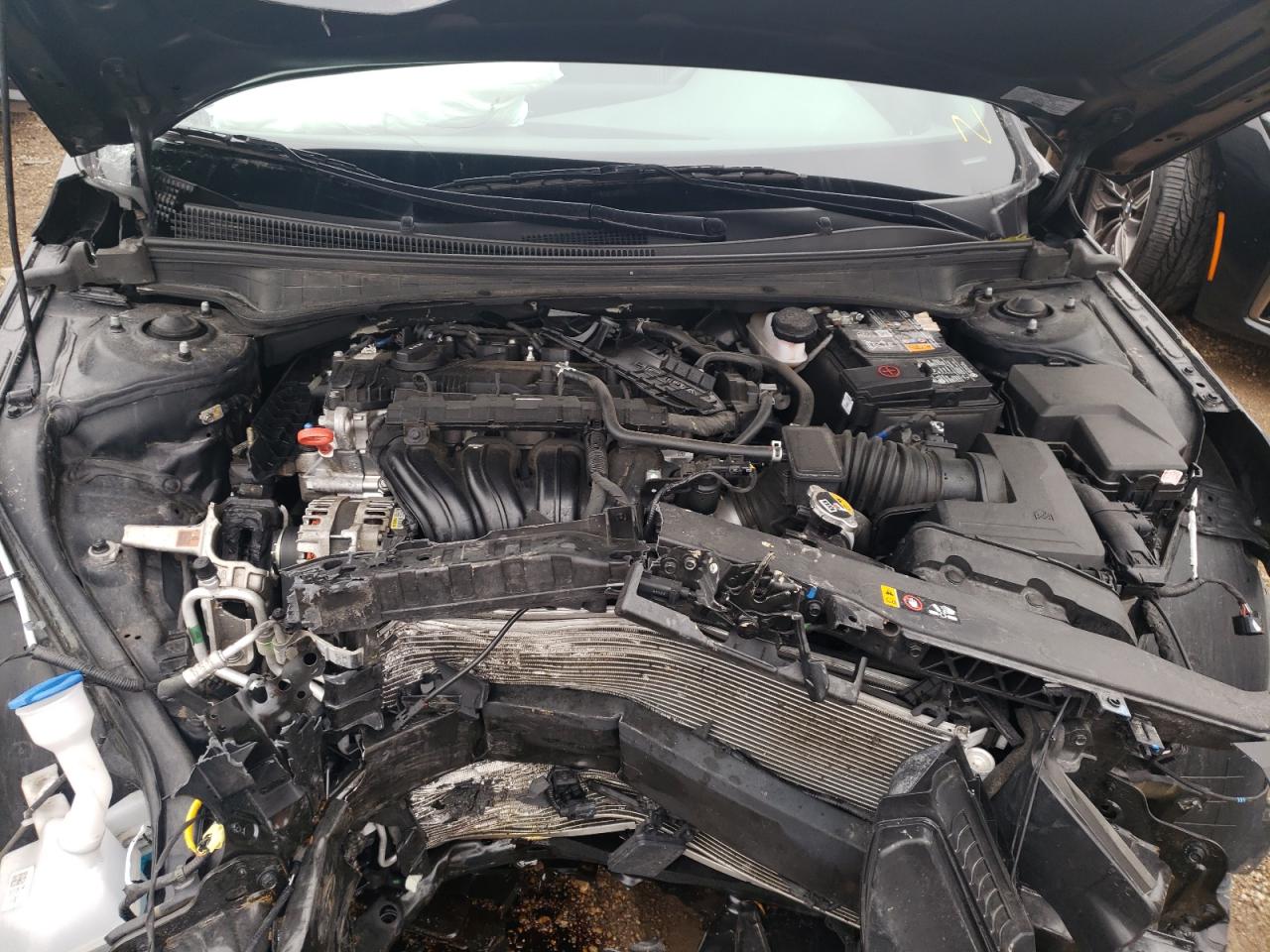 2023 HYUNDAI ELANTRA SEL VIN:5NPLS4AG2PH093420