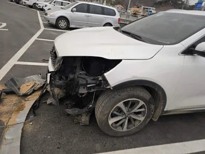 2019 Kia Sorento KNAPG81BDKA540068 VIN:KNAPG81BDKA540068
