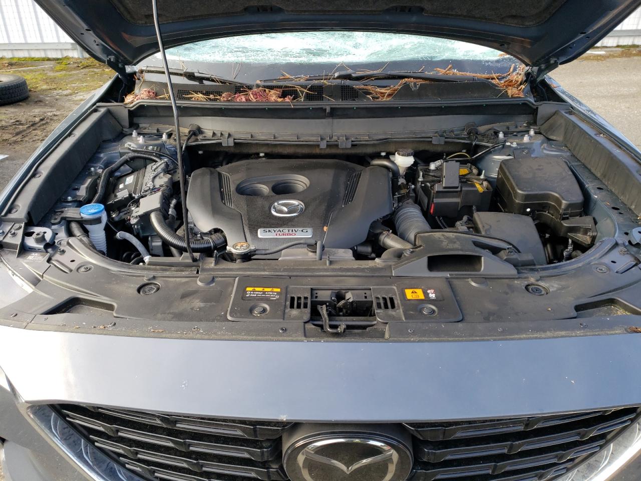 2023 MAZDA CX-9 GRAND TOURING VIN:JM3TCBDY5P0643039