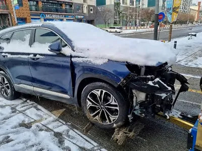2019 Hyundai Santa FE KMHS381CDKU156880 VIN:KMHS381CDKU156880