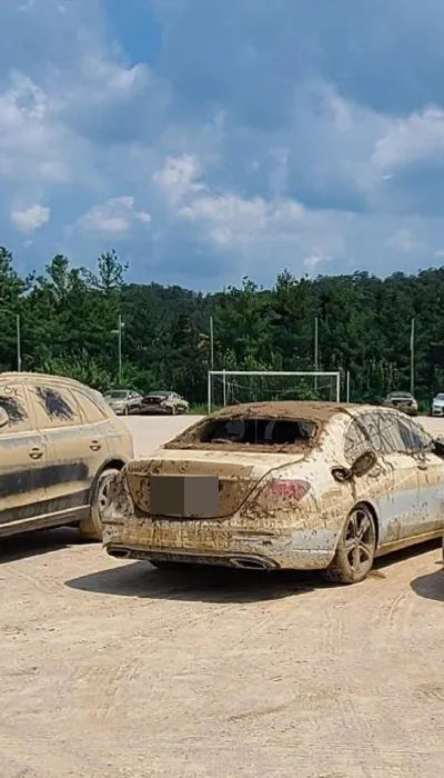 2019 Mercedes-Benz E 300 WDDZF4JB1KA695878 VIN:WDDZF4JB1KA695878