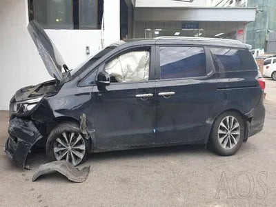 2018 Kia Carnival KNAMB81ABJS432068 VIN:KNAMB81ABJS432068