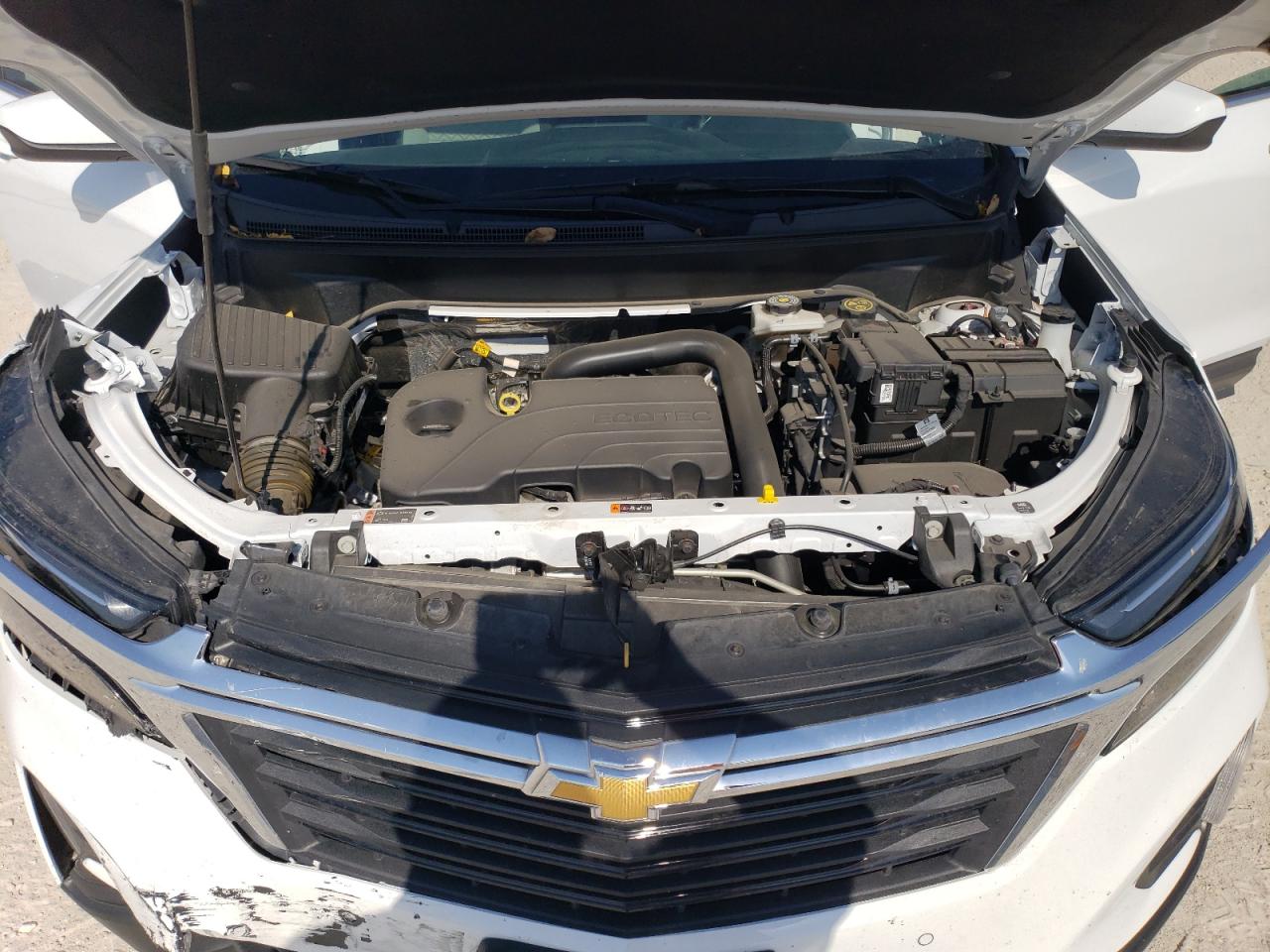 2023 CHEVROLET EQUINOX LT VIN:3GNAXKEG7PL128712