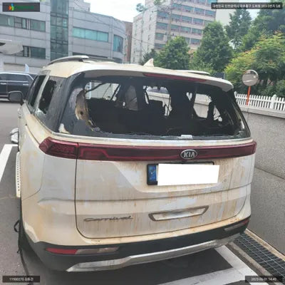 2021 Kia Carnival KNANE81BBMS093791 VIN:KNANE81BBMS093791