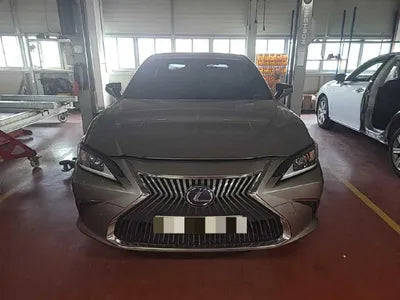 2019 Lexus ES 300 JTHB21B13K2038973 VIN:JTHB21B13K2038973
