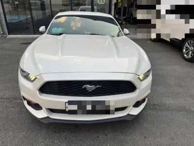 2017 Ford Mustang 1FA6P8TH0H5258819 VIN:1FA6P8TH0H5258819