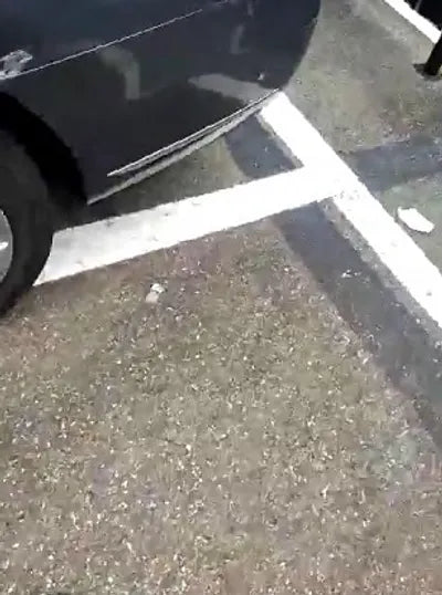 2019 Mercedes-Benz E 220 WDDZF0FB8KA693434 VIN:WDDZF0FB8KA693434