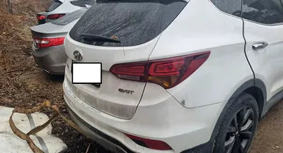 2016 Hyundai Santa FE KMHSW81UBGU666839 VIN:KMHSW81UBGU666839