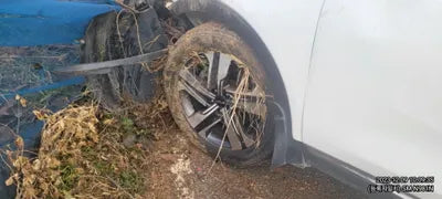 2017 Kia Sorento 339KMKNAPH81ABHA3 VIN:339KMKNAPH81ABHA3