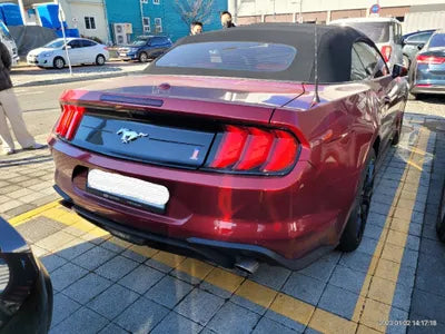 2019 Ford Mustang 1FATP8UH3K5196891 VIN:1FATP8UH3K5196891
