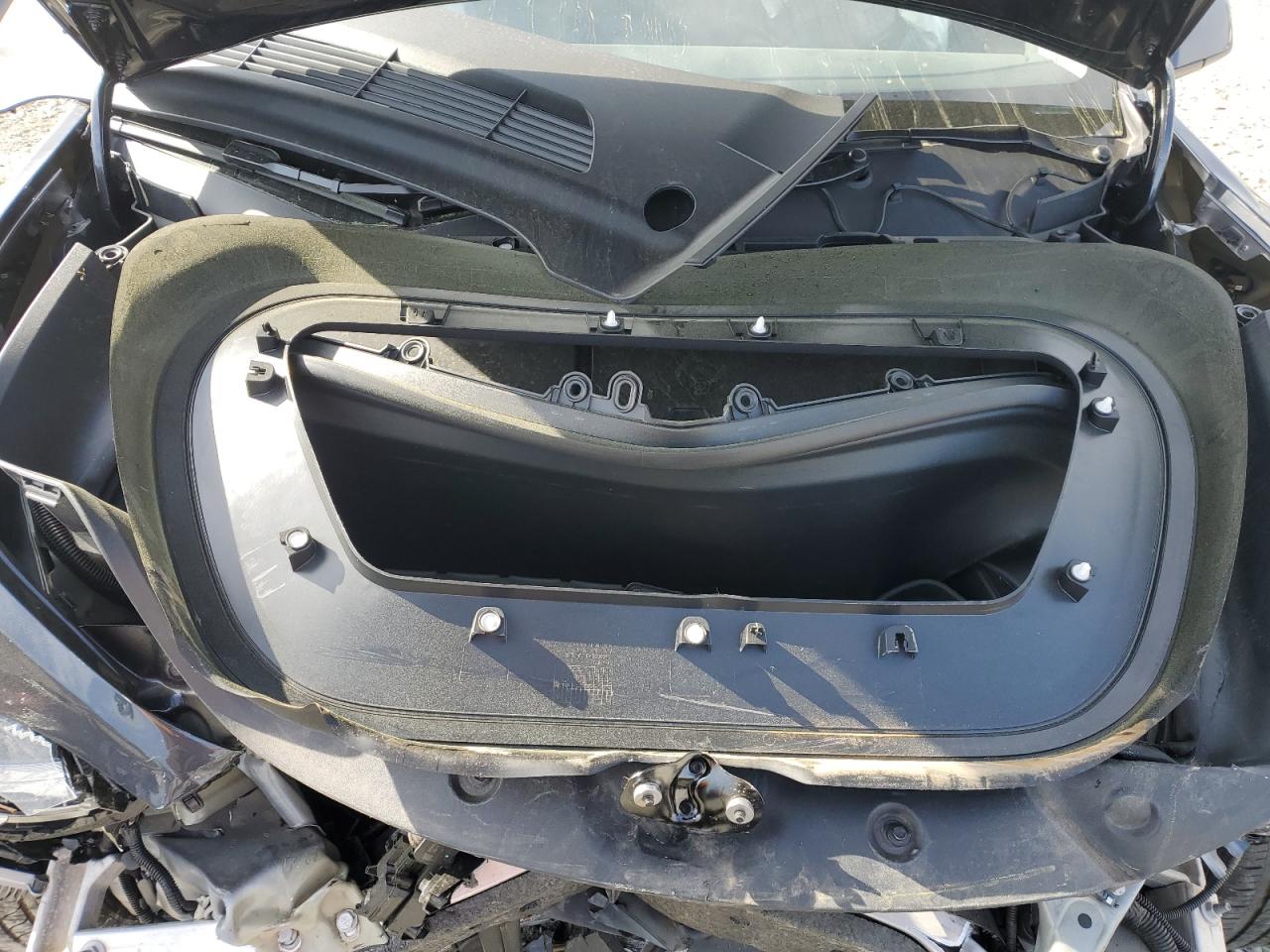 2024 TESLA MODEL Y  VIN:7SAYGDED6RF112689