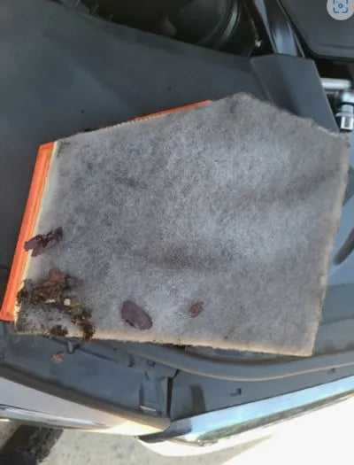 2017 BMW 520 WBAJC5102HG850798 VIN:WBAJC5102HG850798