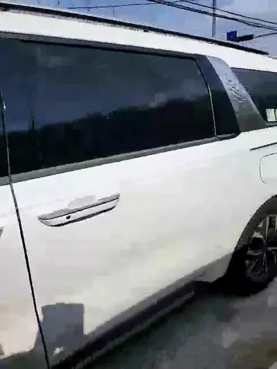 2021 Kia Carnival KNANC81BBMS057836 VIN:KNANC81BBMS057836