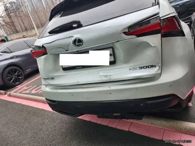 2016 Lexus NX 300 JTJBJRBZ4G2030216 VIN:JTJBJRBZ4G2030216