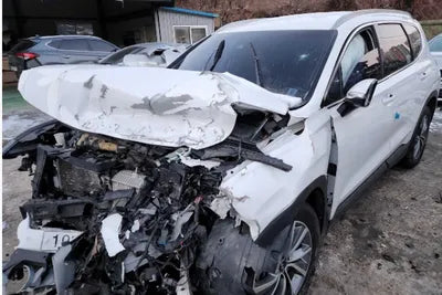 2019 Hyundai Santa FE KMHS281BDKU113892 VIN:KMHS281BDKU113892